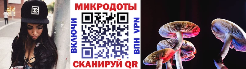 Псилоцибиновые грибы мицелий omg ссылки Котельнич